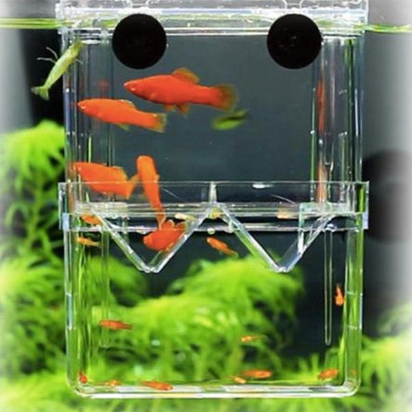 aquariums 10*13*7cm doubledeck high clear aquarium fish breeding isolation box tank double guppies hatching incubator house home
aquariums 10*13*7cm doubledeck high clear aquarium fish breeding isolation box tank double guppies hatching incubator house home