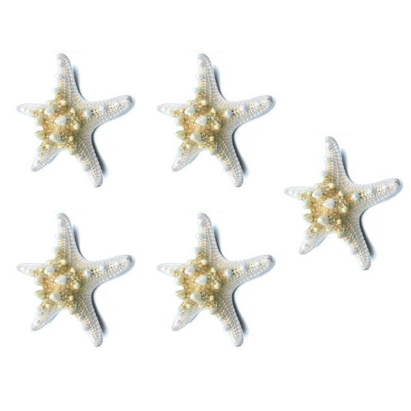 novelty items 5pcs/lots crafts white bread sea shell starfish, fashion home decorative handicrafts
novelty items 5pcs/lots crafts white bread sea shell starfish, fashion home decorative handicrafts
