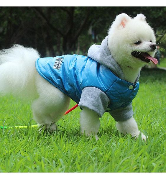 dog apparel clothes autumn and winter warm comfortable pet vest waterproof antifouling hood suitable for small medium pets
dog apparel clothes autumn and winter warm comfortable pet vest waterproof antifouling hood suitable for small medium pets