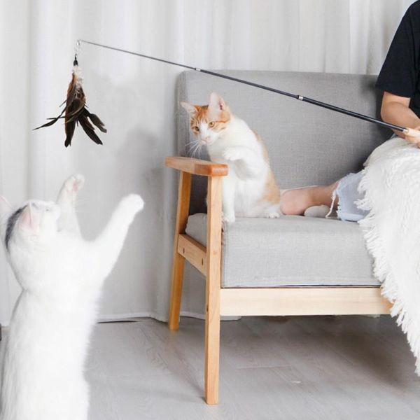 cat toys feather refill replacement attachments kitten play interactive fun toy for teaser cats (not including wand toy) lt
cat toys feather refill replacement attachments kitten play interactive fun toy for teaser cats (not including wand toy) lt