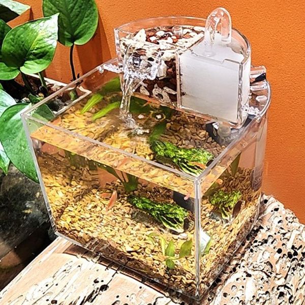 aquariums deskaquarium starter kit small betta fish tank with submersible pump filter cotton for snail tropical
aquariums deskaquarium starter kit small betta fish tank with submersible pump filter cotton for snail tropical