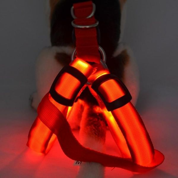 dog collars & leashes 1pc pet led nylon collar s size rechargeable night safety flashing vest chest soft harness leash rope belt
dog collars & leashes 1pc pet led nylon collar s size rechargeable night safety flashing vest chest soft harness leash rope belt