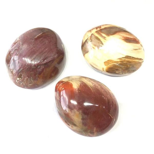 decorative objects & figurines sell palm stones petrified wood fossil stone for aquarium decoration natural crystal feng shui home imag
decorative objects & figurines sell palm stones petrified wood fossil stone for aquarium decoration natural crystal feng shui home imag