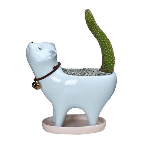 kitten ceramic succulent pots with drain hole mini plants cactus containers for home and office deskdecoration vases
kitten ceramic succulent pots with drain hole mini plants cactus containers for home and office deskdecoration vases