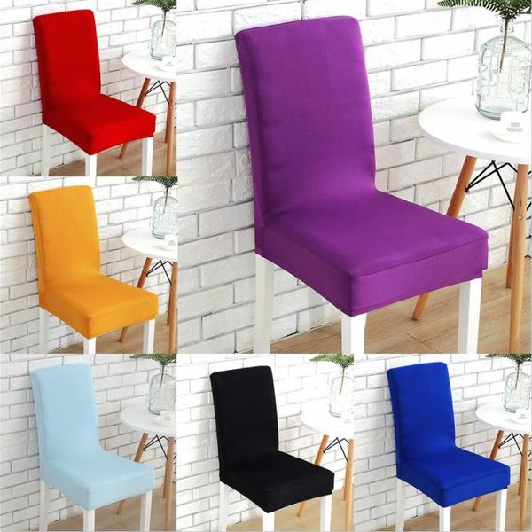 chair covers spandex pure color elastic cover stretchable dining hall seat case dust for el restaurant home dinner
chair covers spandex pure color elastic cover stretchable dining hall seat case dust for el restaurant home dinner