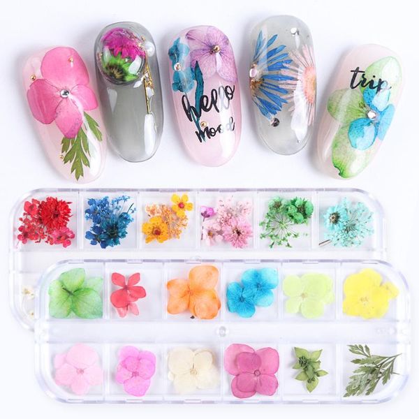 nail art kits natural dried flower art, diy design for female girls, 3d japanese decoration, supplies set
nail art kits natural dried flower art, diy design for female girls, 3d japanese decoration, supplies set