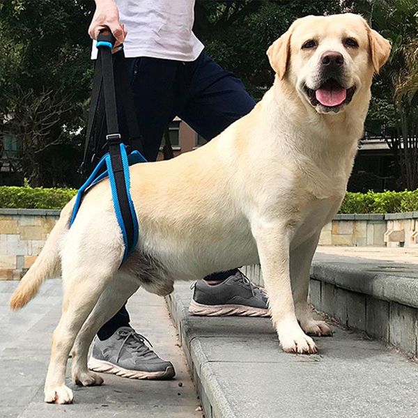 adjustable dog lift harness for back legs pet support sling help weak stand up old dogs leash aid assist tool apparel
adjustable dog lift harness for back legs pet support sling help weak stand up old dogs leash aid assist tool apparel
