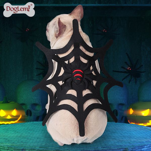 halloween cat dog spider web costume funny pet accsori lightweight portable dog costume
halloween cat dog spider web costume funny pet accsori lightweight portable dog costume