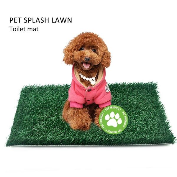 kennels & pens pet lawn toilet mat artificial thick pp puppy potty traning pad splash-proof grass floor door urinal
kennels & pens pet lawn toilet mat artificial thick pp puppy potty traning pad splash-proof grass floor door urinal