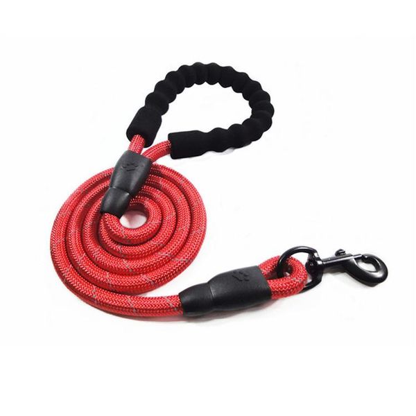 the multi-color reflective traction rope for pet dogs small animal carrier dog supplies accessories puppy harness collars & leashes
the multi-color reflective traction rope for pet dogs small animal carrier dog supplies accessories puppy harness collars & leashes
