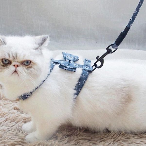 cat collars & leads japanese style harness pet leash set bowknot escape proof cute kitten walking puppy outdoor walk
cat collars & leads japanese style harness pet leash set bowknot escape proof cute kitten walking puppy outdoor walk