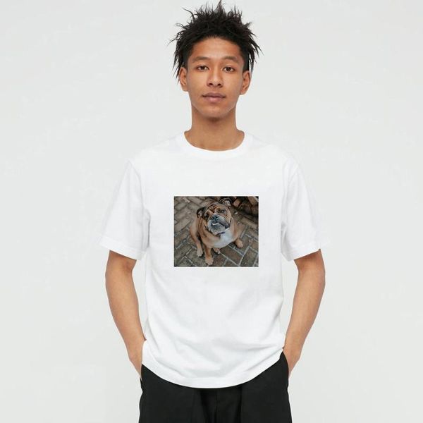 men's t-shirts summer style dog po 100% cotton mens and women's t-shirt casual o-neck short sleeve tees for men 56b56w, White;black
men's t-shirts summer style dog po 100% cotton mens and women's t-shirt casual o-neck short sleeve tees for men 56b56w, White;black
