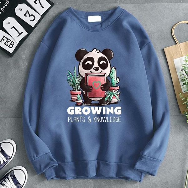 men's hoodies & sweatshirts growing panda hoodie kawaii cartoon harajuku long sleeve fashion brand men street korean mens clothes, Black
men's hoodies & sweatshirts growing panda hoodie kawaii cartoon harajuku long sleeve fashion brand men street korean mens clothes, Black