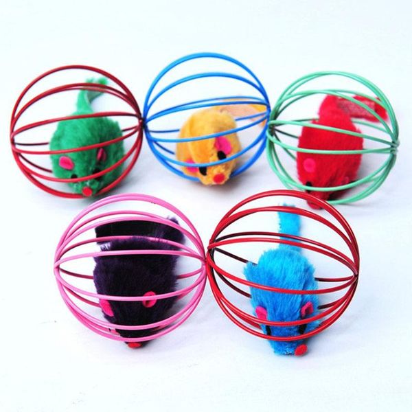 cat toys dia. 6cm funny cage mouse mice pet kitten playing chew scratch catch toy color random for cats interactive
cat toys dia. 6cm funny cage mouse mice pet kitten playing chew scratch catch toy color random for cats interactive