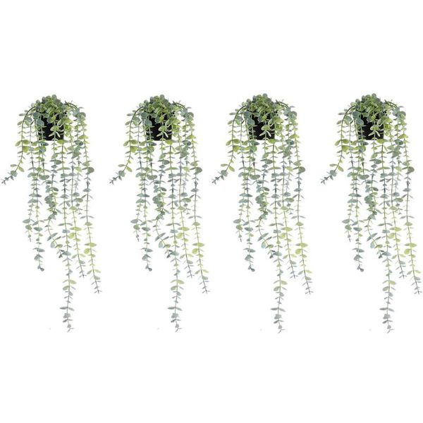 decorative flowers & wreaths 4 pcs fake vines artificial hanging plants eucalyptus potted greenery in black pot for home indoor
decorative flowers & wreaths 4 pcs fake vines artificial hanging plants eucalyptus potted greenery in black pot for home indoor