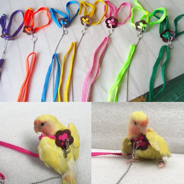 parrot bird leash outdoor adjustable harness training rope anti bite flying band other supplies
parrot bird leash outdoor adjustable harness training rope anti bite flying band other supplies