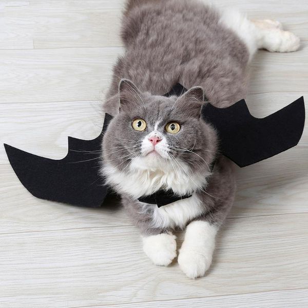 cat costumes halloween decoration pet dog black bat wings cute pets dress up cosplay wing costume party
cat costumes halloween decoration pet dog black bat wings cute pets dress up cosplay wing costume party