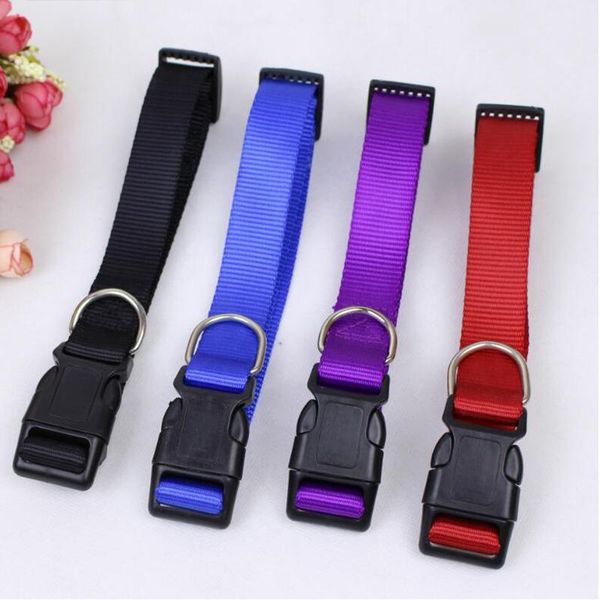 dog collars & leashes ardemer custom wholesale personalized nylon 2021 high end plain pet
dog collars & leashes ardemer custom wholesale personalized nylon 2021 high end plain pet