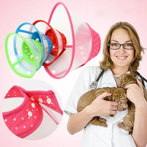 dog collars & leashes color pet elizabethan headgear collar to prevent dogs from licking and biting accessoires supplies
dog collars & leashes color pet elizabethan headgear collar to prevent dogs from licking and biting accessoires supplies