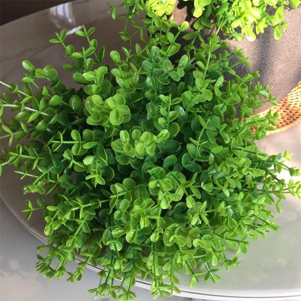 decorative flowers & wreaths 20pcs/1 dozen simulation green plant artificial plastic flower for home table wedding diy candy gift box
decorative flowers & wreaths 20pcs/1 dozen simulation green plant artificial plastic flower for home table wedding diy candy gift box