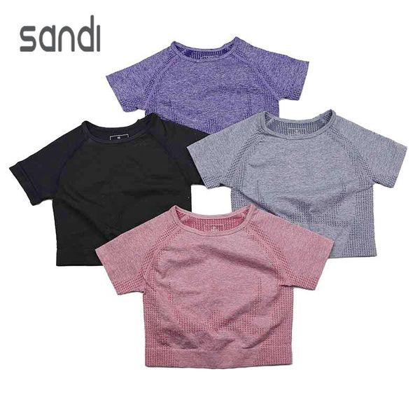 women seamless yoga sportswear running workout short sleeve t-shirts crop fitness shirt training gym sports outfit
women seamless yoga sportswear running workout short sleeve t-shirts crop fitness shirt training gym sports outfit
