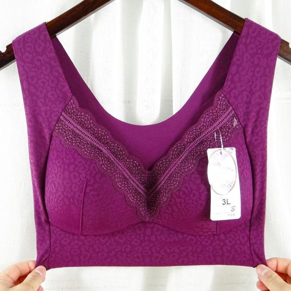 bustiers & corsets no rims embossing lace great flexibility underwears women bras plus size 6xl bra women's vest thin sport sleep brass, Black;white
bustiers & corsets no rims embossing lace great flexibility underwears women bras plus size 6xl bra women's vest thin sport sleep brass, Black;white