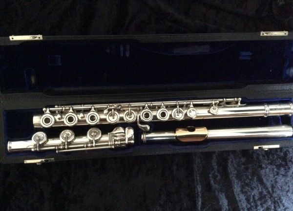 powell handmade flute silver open-hole flute - inline g & b-foot 17 holes open gold mouth
powell handmade flute silver open-hole flute - inline g & b-foot 17 holes open gold mouth