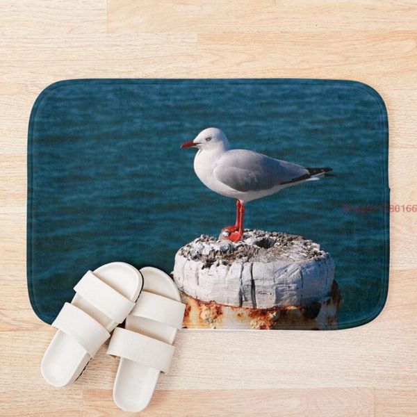 mat seagull in the sunlight protective floor pvc entrance door non-slip kitchen carpet modern home customized mats bath
mat seagull in the sunlight protective floor pvc entrance door non-slip kitchen carpet modern home customized mats bath