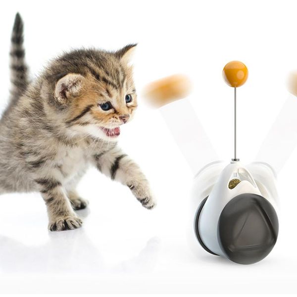 cat toys balance car pet product swing toy funny interactive indoor with catnip ball supplies
cat toys balance car pet product swing toy funny interactive indoor with catnip ball supplies