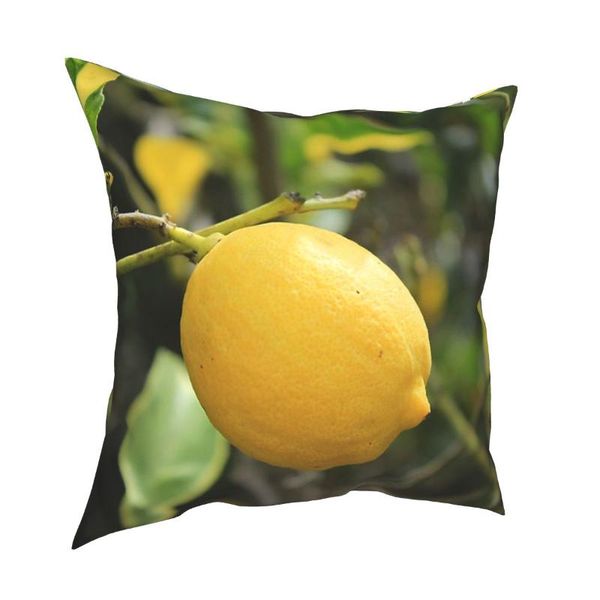 cushion/decorative pillow tree pillowcase soft polyester cushion cover decorations case home drop 45x45cm covers
cushion/decorative pillow tree pillowcase soft polyester cushion cover decorations case home drop 45x45cm covers
