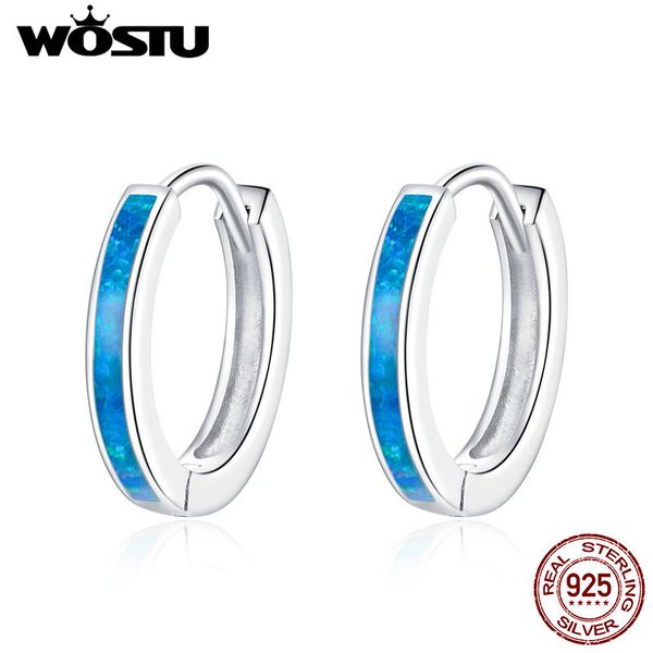 wostu real 925 sterling silver simple opal hoop earrings blue circle earrings for women original silver 925 jewelry cqe992, Golden;silver
wostu real 925 sterling silver simple opal hoop earrings blue circle earrings for women original silver 925 jewelry cqe992, Golden;silver