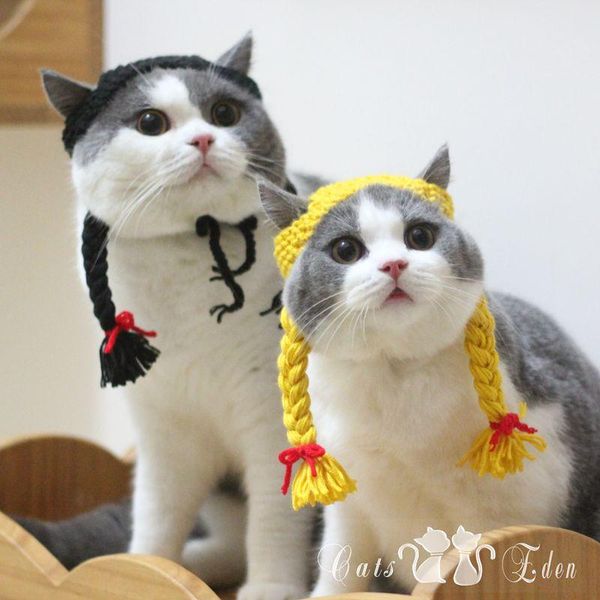 cat costumes pet little girl double twist braid shape cross dress hat wig handmade woolen yarn weaving funny and cute
cat costumes pet little girl double twist braid shape cross dress hat wig handmade woolen yarn weaving funny and cute