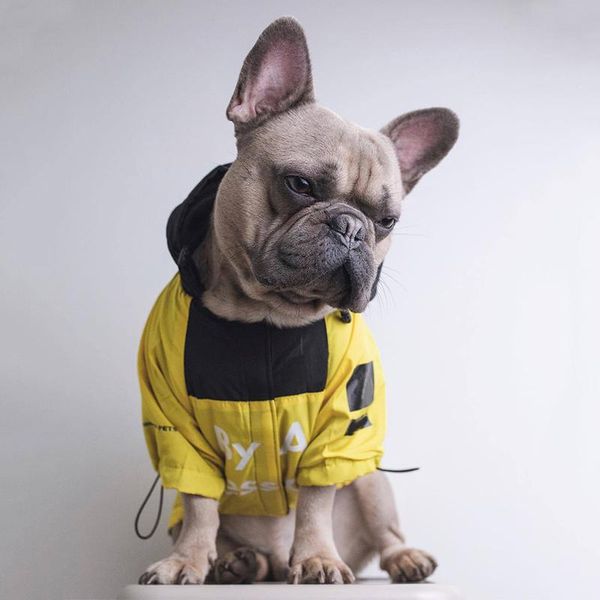 dog apparel fashion frenchbulldog raincoat pet clothes for small dogs clothing chihuahua jacket pug hoodies costume drop pc1364
dog apparel fashion frenchbulldog raincoat pet clothes for small dogs clothing chihuahua jacket pug hoodies costume drop pc1364