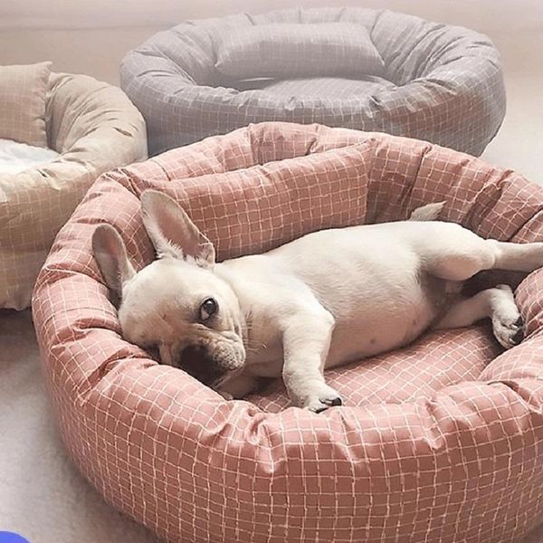 kennels & pens cat bed dog kennel four seasons universal pet house high resilience pp cotton small teddy pad with cushion pillow
kennels & pens cat bed dog kennel four seasons universal pet house high resilience pp cotton small teddy pad with cushion pillow