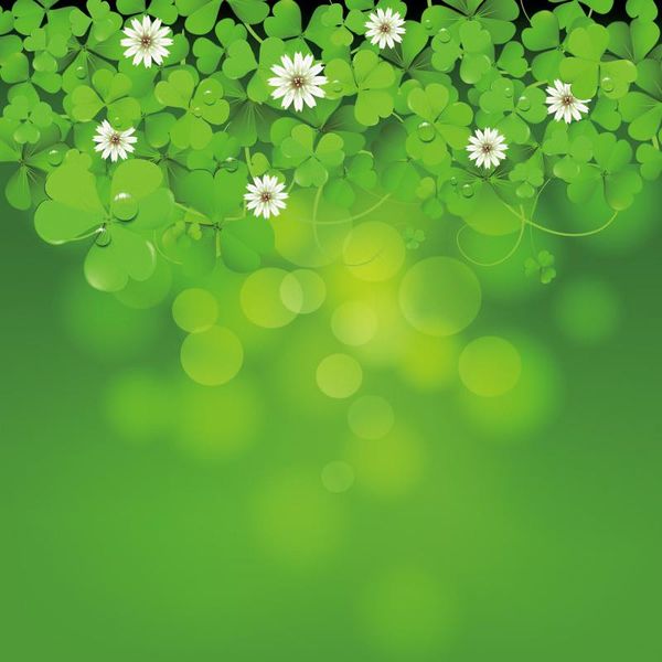 party decoration st. patrick's day backdrop clover daisy green pography background family holiday po booth studio prop
party decoration st. patrick's day backdrop clover daisy green pography background family holiday po booth studio prop