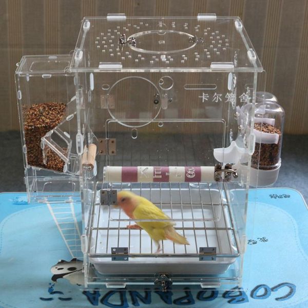 bird cages mini birdcage parrot small acrylic panoramic stainless steel ornamental
bird cages mini birdcage parrot small acrylic panoramic stainless steel ornamental
