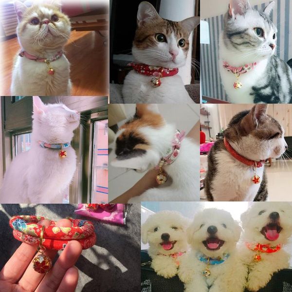 dog collars & leashes 2021 bell jewelry cat collar can be injected insect-proof water lucky pet supplies drop
dog collars & leashes 2021 bell jewelry cat collar can be injected insect-proof water lucky pet supplies drop