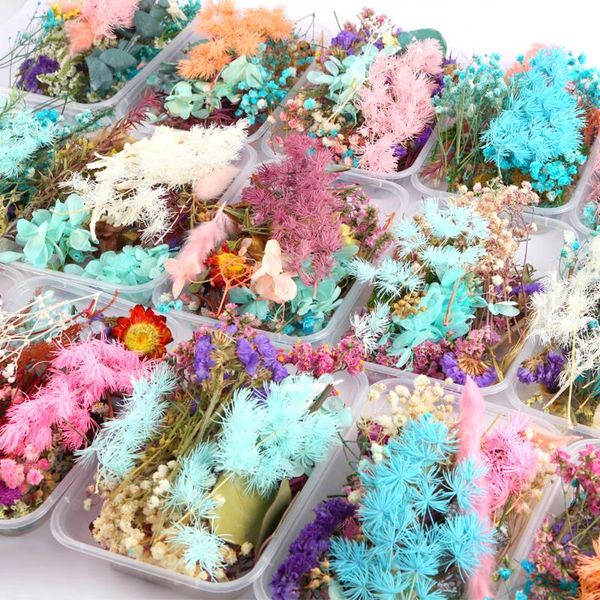 decorative flowers & wreaths 1box natural dried real dry plants candle epoxy resin necklace jewelry making frame craft diy acce
decorative flowers & wreaths 1box natural dried real dry plants candle epoxy resin necklace jewelry making frame craft diy acce