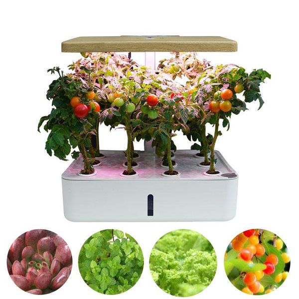 planters & pots intelligent hydroponic planter soilless cultivation vegetable fruit planting box with growth lamp seed nursery flower pot
planters & pots intelligent hydroponic planter soilless cultivation vegetable fruit planting box with growth lamp seed nursery flower pot
