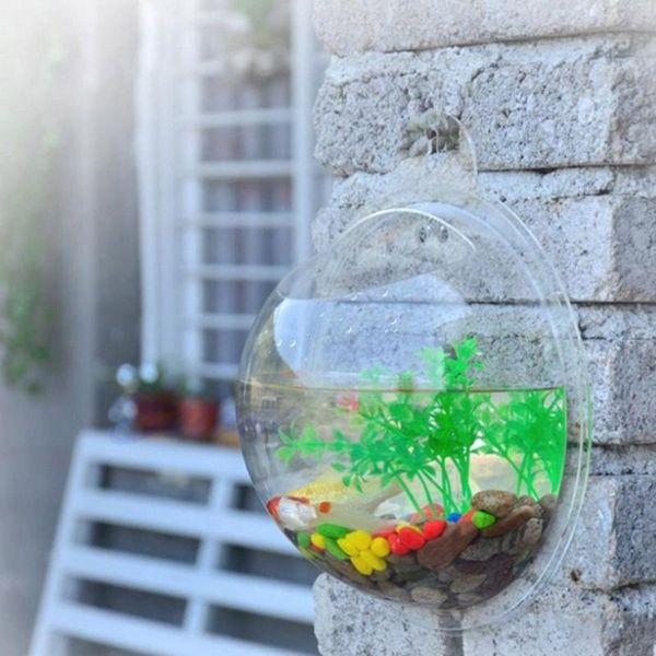 aquariums 2 sizes acrylic bowl bubble transparent plant fish tank flower round vase pot wall mounted hanging aquarium home decoration
aquariums 2 sizes acrylic bowl bubble transparent plant fish tank flower round vase pot wall mounted hanging aquarium home decoration