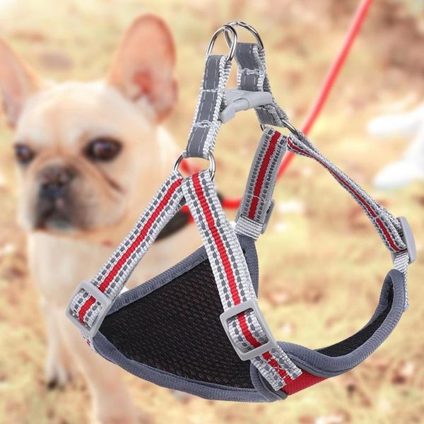 dog collars & leashes casual 1 set cozy puppy soft safety harness fashion mesh design for travel
dog collars & leashes casual 1 set cozy puppy soft safety harness fashion mesh design for travel