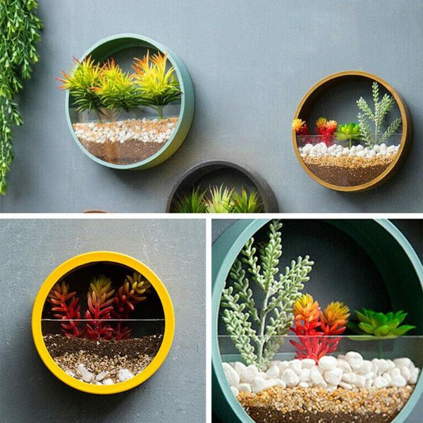 aquariums flower hanging round basket bonsai wall hydroponic planter pot with light tube home craft decoration
aquariums flower hanging round basket bonsai wall hydroponic planter pot with light tube home craft decoration