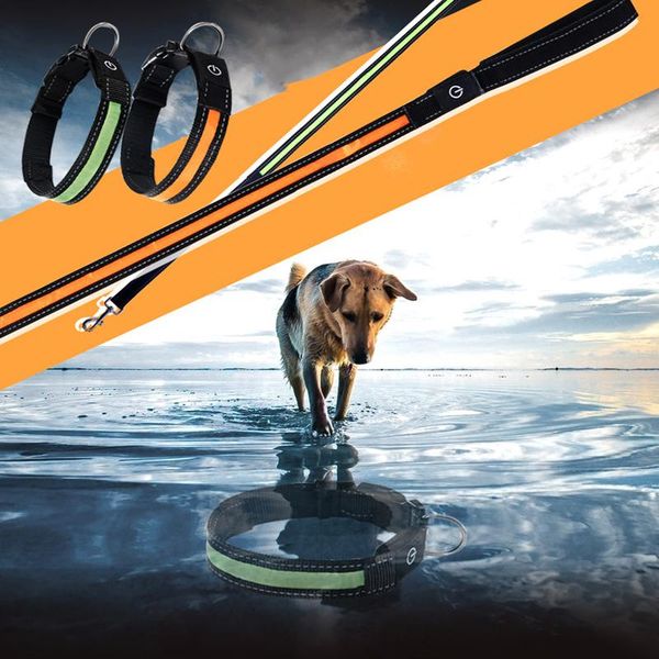 dog collars & leashes nylon led pet collar cat leash anti-lost adjustable night safety necklace decoration supplies accessories
dog collars & leashes nylon led pet collar cat leash anti-lost adjustable night safety necklace decoration supplies accessories