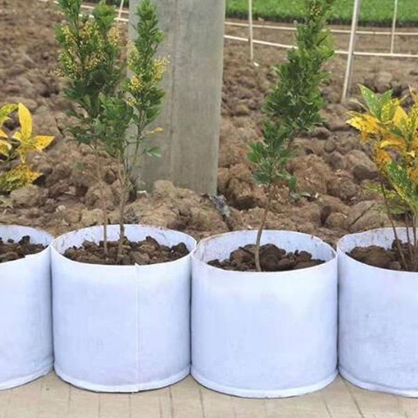 planters & pots 1pcs non woven grow bag plant round fabric aeration pot containers root container white multi size
planters & pots 1pcs non woven grow bag plant round fabric aeration pot containers root container white multi size