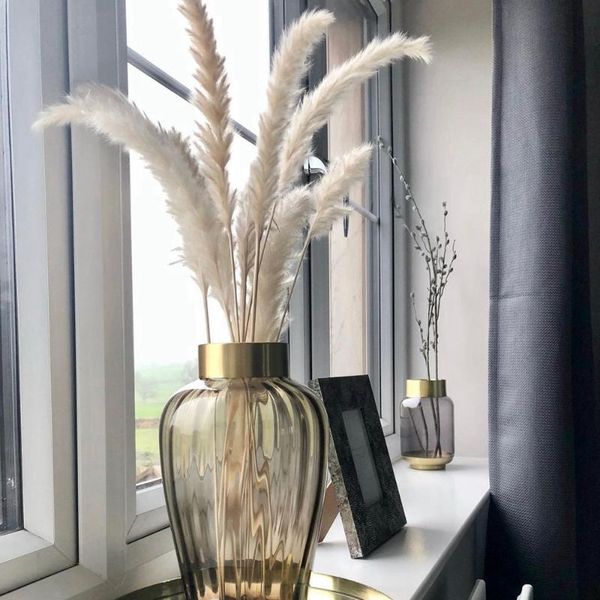 decorative flowers & wreaths 10pcs natural dried decor boho real pampas grass artificial plants mariage room decoration wedding party access
decorative flowers & wreaths 10pcs natural dried decor boho real pampas grass artificial plants mariage room decoration wedding party access