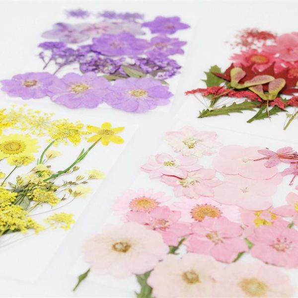 1pack multi mixed dry pressed flowers natural leaf plant for diy handicraft beauty wedding po makeup resin mold filling decorative & wreaths
1pack multi mixed dry pressed flowers natural leaf plant for diy handicraft beauty wedding po makeup resin mold filling decorative & wreaths