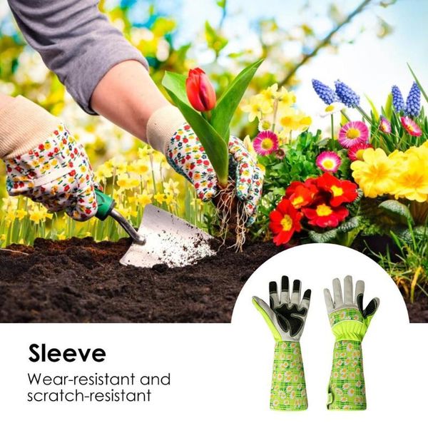 disposable gloves breathable 1 pair garden polyester artificial leather quick easy to dig and plant glove for planting
disposable gloves breathable 1 pair garden polyester artificial leather quick easy to dig and plant glove for planting