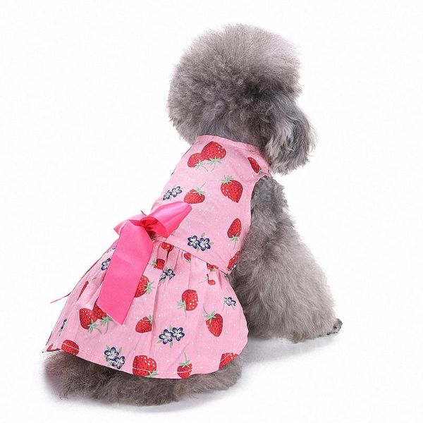 dog apparel summer lace tullle dress pet clothes for small party birthday wedding bowknot puppy costume spring
dog apparel summer lace tullle dress pet clothes for small party birthday wedding bowknot puppy costume spring