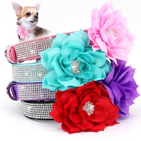 dog collars & leashes bling rhinestone collar with flower accessory soft suede leather cat puppy necklace for small medium dogs cats
dog collars & leashes bling rhinestone collar with flower accessory soft suede leather cat puppy necklace for small medium dogs cats