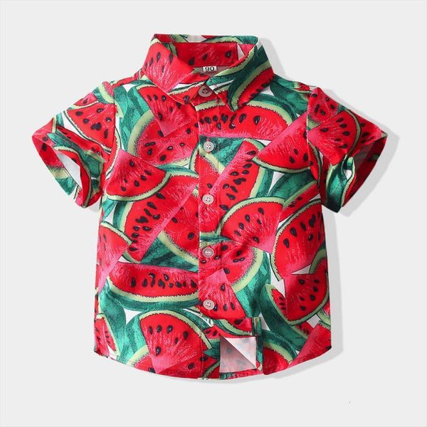 shirts for boys baby summer casual short sleeve watermelon pattern cotton girls blouse kids toddler children clothes 1 6t, White;black
shirts for boys baby summer casual short sleeve watermelon pattern cotton girls blouse kids toddler children clothes 1 6t, White;black